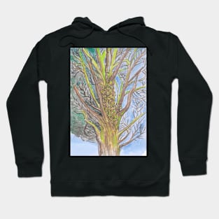 MEDUSA WATERCOLOR TREE Hoodie